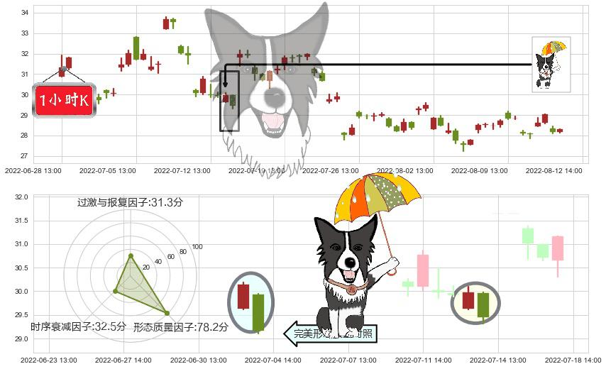 杉杉股份(sh600884)倾盆大雨K线图-阿布量化