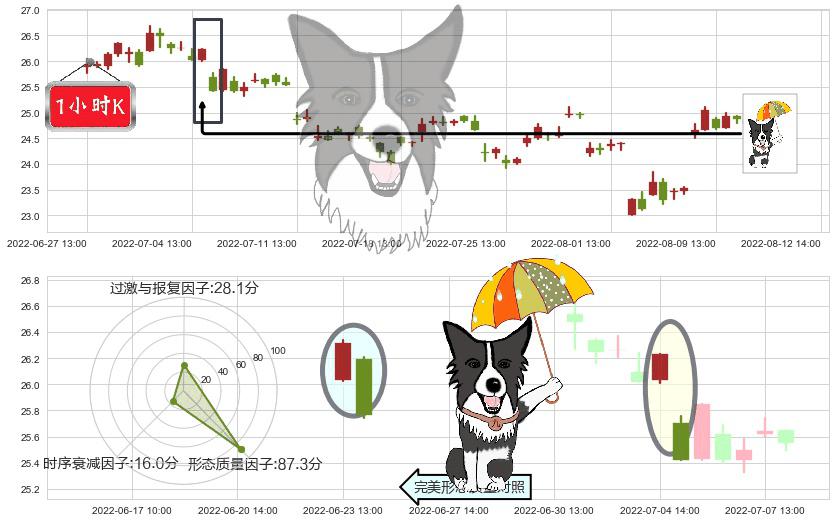 浪潮信息(sz000977)倾盆大雨K线图-阿布量化