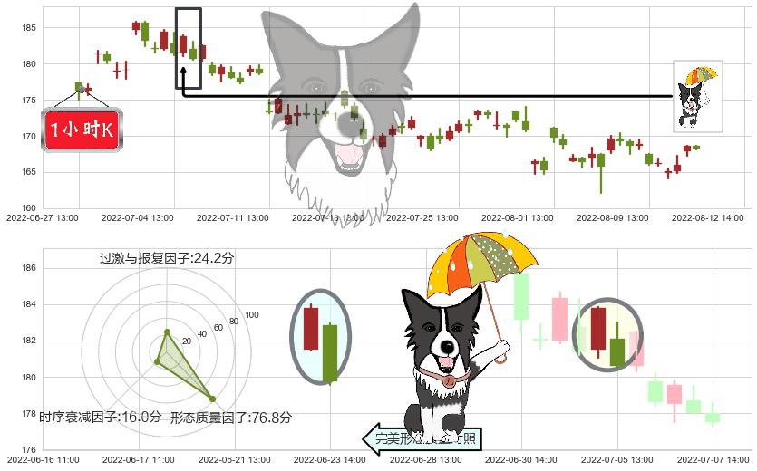 洋河股份(sz002304)倾盆大雨K线图-阿布量化