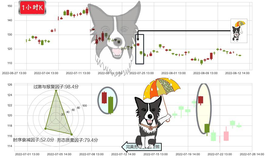 天齐锂业(sz002466)倾盆大雨K线图-阿布量化