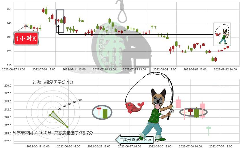 泸州老窖(sz000568)吊颈线（上吊线）K线图-阿布量化