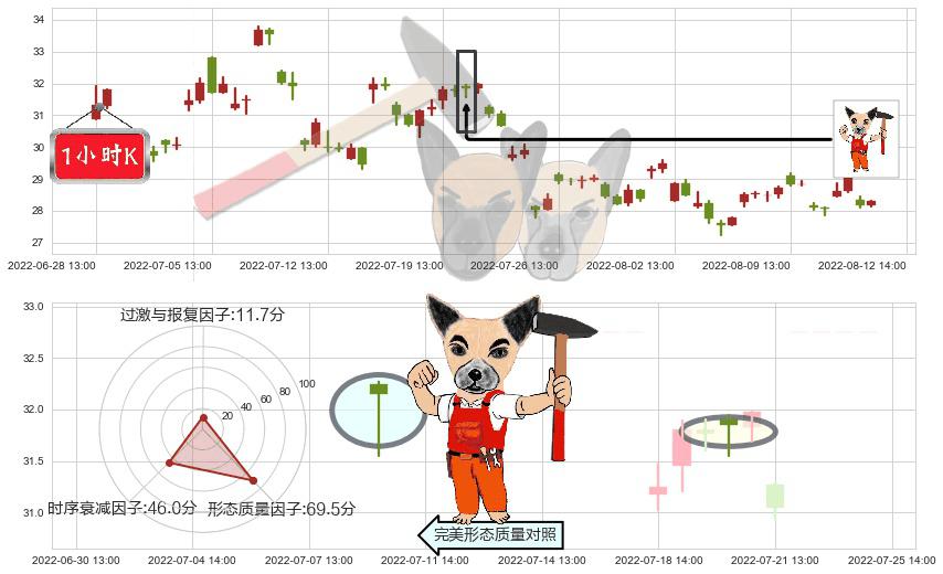 杉杉股份(sh600884)锤头线（锤子线）K线图-阿布量化