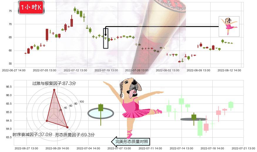汇顶科技(sh603160)单针探底(定海神针)K线图-阿布量化
