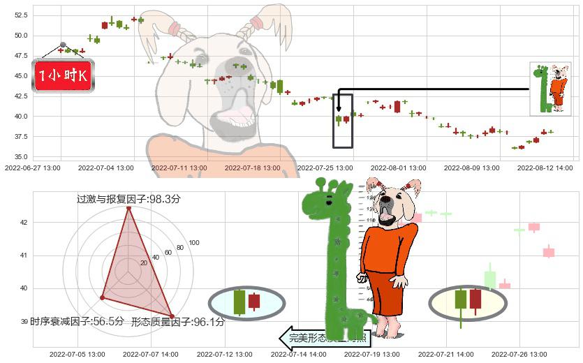 东方雨虹(sz002271)中流砥柱形态K线图-阿布量化