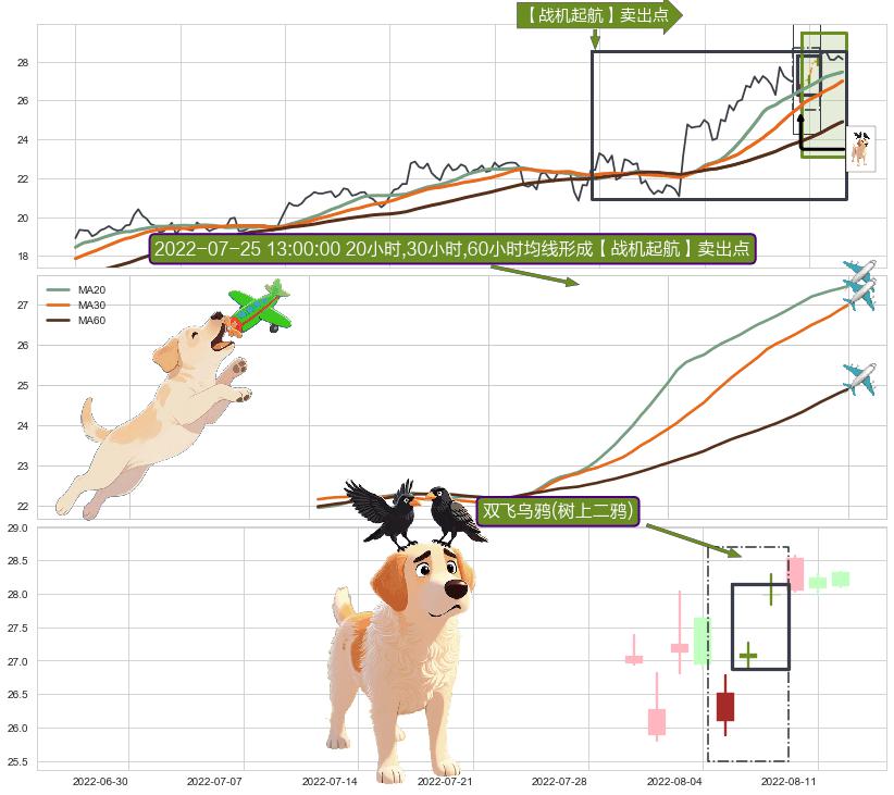 双飞乌鸦(树上二鸦) ➕ 【战机起航】卖出点