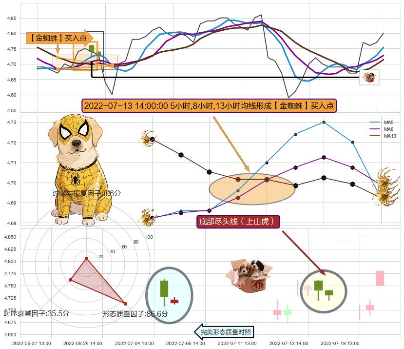 底部尽头线（上山虎） ➕ 【金蜘蛛】买入点