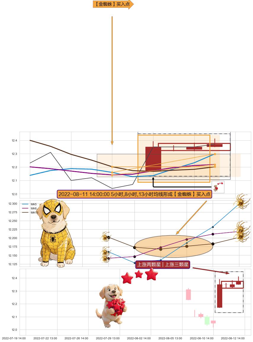 上涨两颗星 | 上涨三颗星 ➕ 【金蜘蛛】买入点