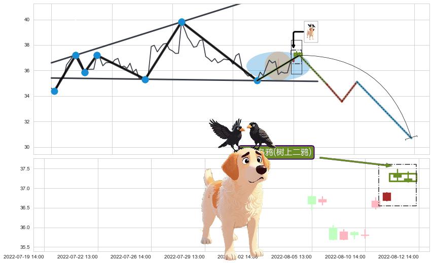 双飞乌鸦(树上二鸦)+下跌两颗星 ｜ 下跌三颗星+倾盆大雨 ➕ 突破整理