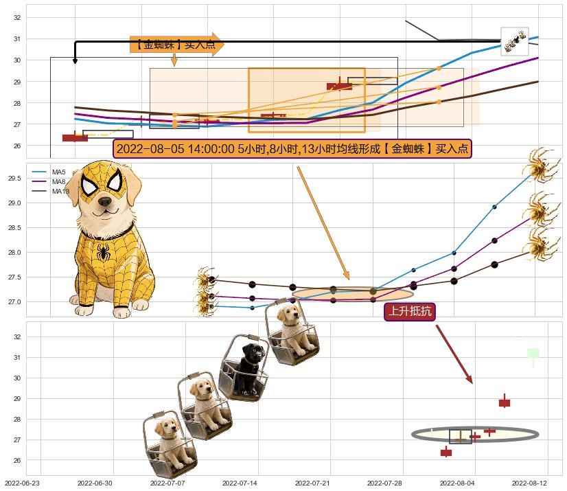上升抵抗 ➕ 【金蜘蛛】买入点