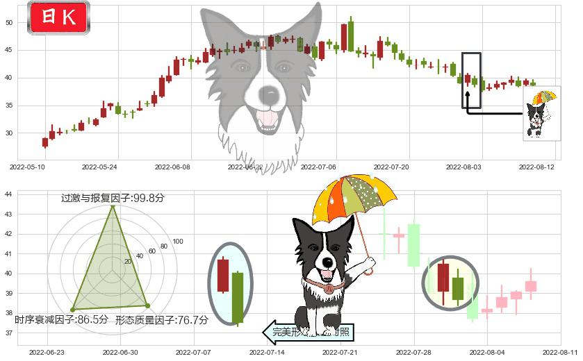 国轩高科(sz002074)倾盆大雨K线图-阿布量化