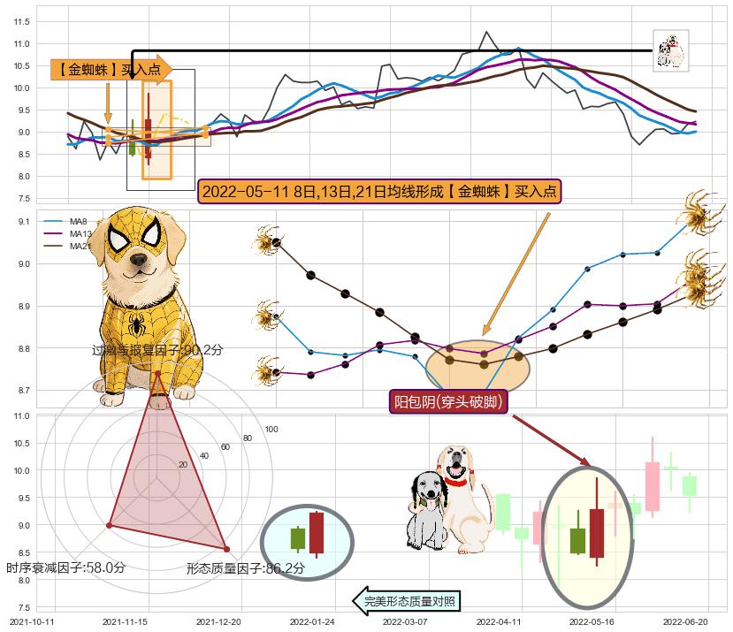 阳包阴(穿头破脚) ➕ 【金蜘蛛】买入点
