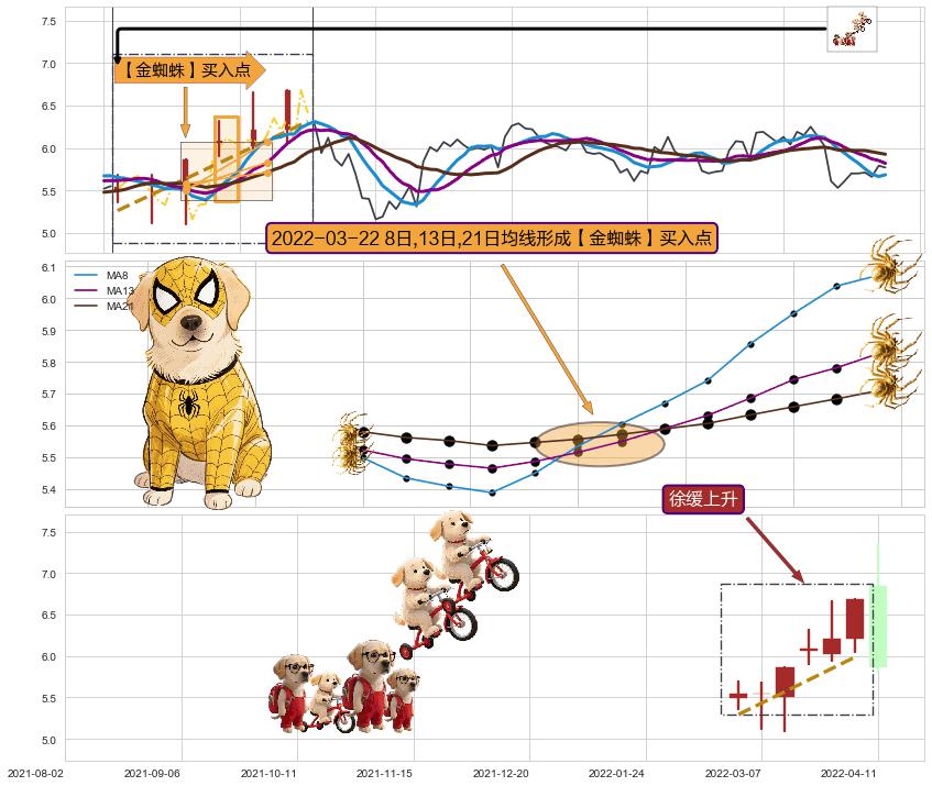徐缓上升+高位并排阳线 ➕ 【金蜘蛛】买入点