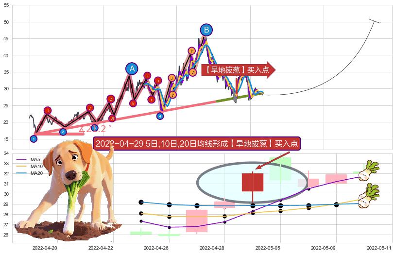 【旱地拔葱】买入点+【高山滑雪】买入点+【烘云托月】买入点 ➕ 趋势线
