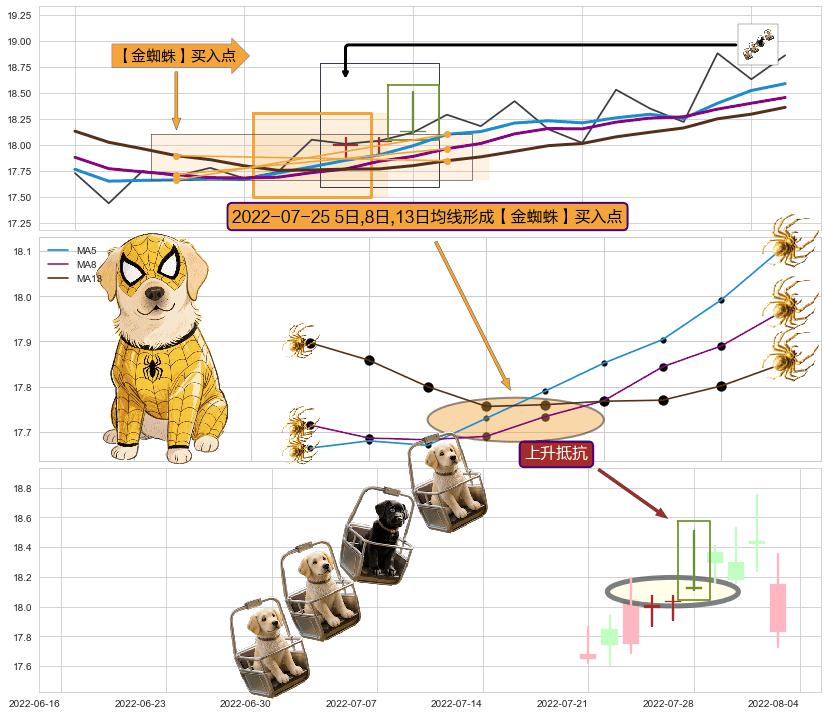 上升抵抗 ➕ 【金蜘蛛】买入点