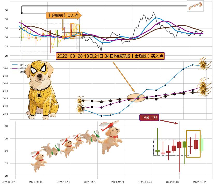 下探上涨 ➕ 【金蜘蛛】买入点