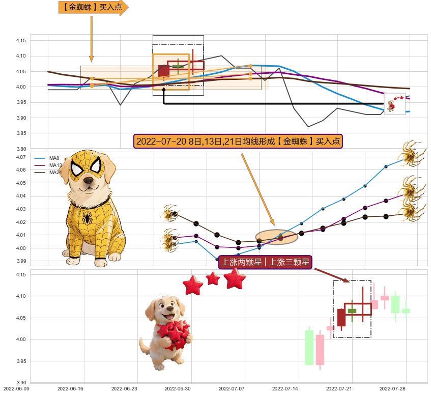 上涨两颗星 | 上涨三颗星 ➕ 【金蜘蛛】买入点