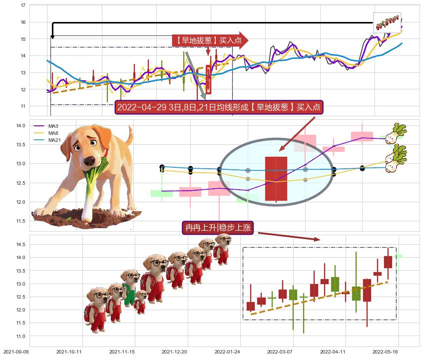 冉冉上升|稳步上涨 ➕ 【旱地拔葱】买入点