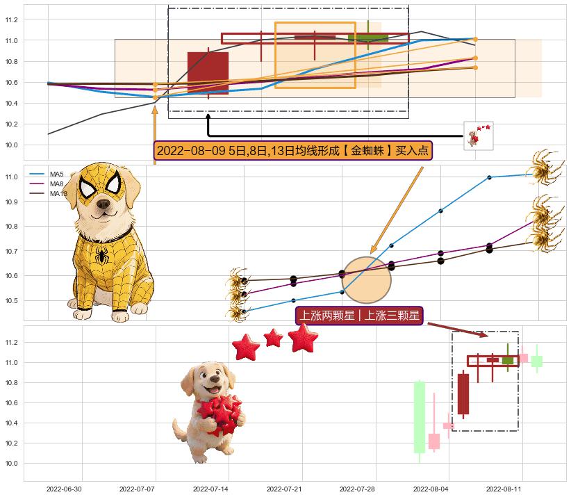 上涨两颗星 | 上涨三颗星 ➕ 【金蜘蛛】买入点