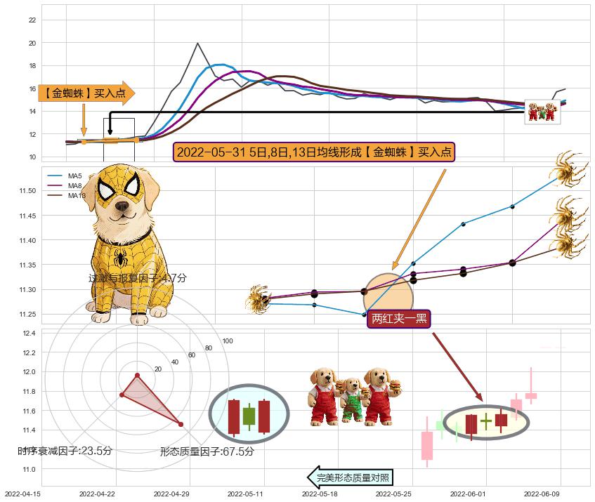 两红夹一黑+塔形底 | 圆底 ➕ 【金蜘蛛】买入点