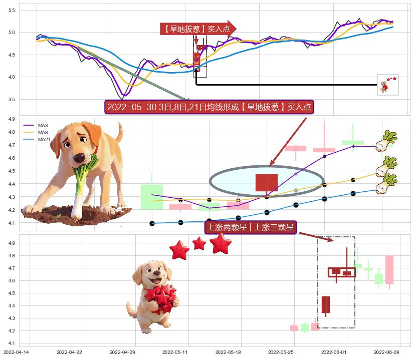 上涨两颗星 | 上涨三颗星+冉冉上升|稳步上涨+上涨孤独十字星 ➕ 【旱地拔葱】买入点