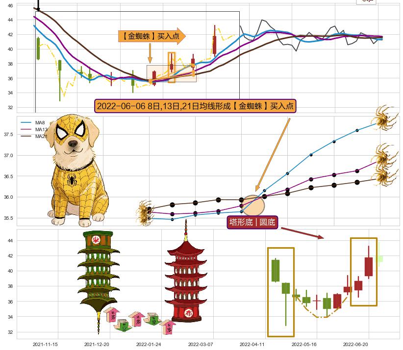 塔形底 | 圆底 ➕ 【金蜘蛛】买入点