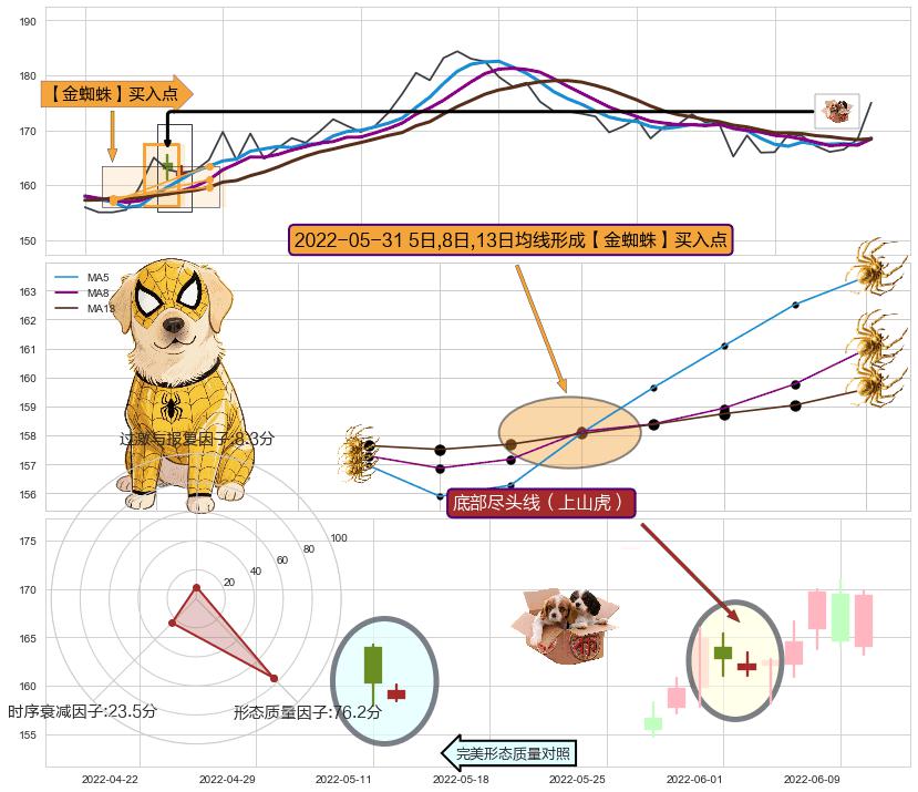 底部尽头线（上山虎）+多方尖兵+冉冉上升|稳步上涨 ➕ 【金蜘蛛】买入点