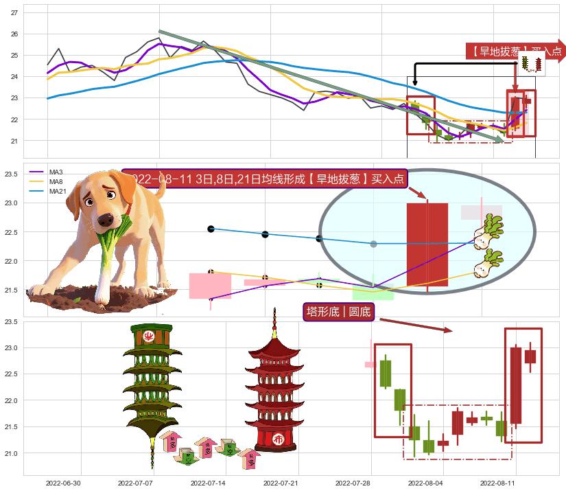 塔形底 | 圆底 ➕ 【旱地拔葱】买入点