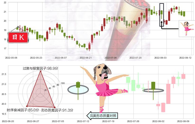 维达国际(hk03331)单针探底(定海神针)K线图-阿布量化