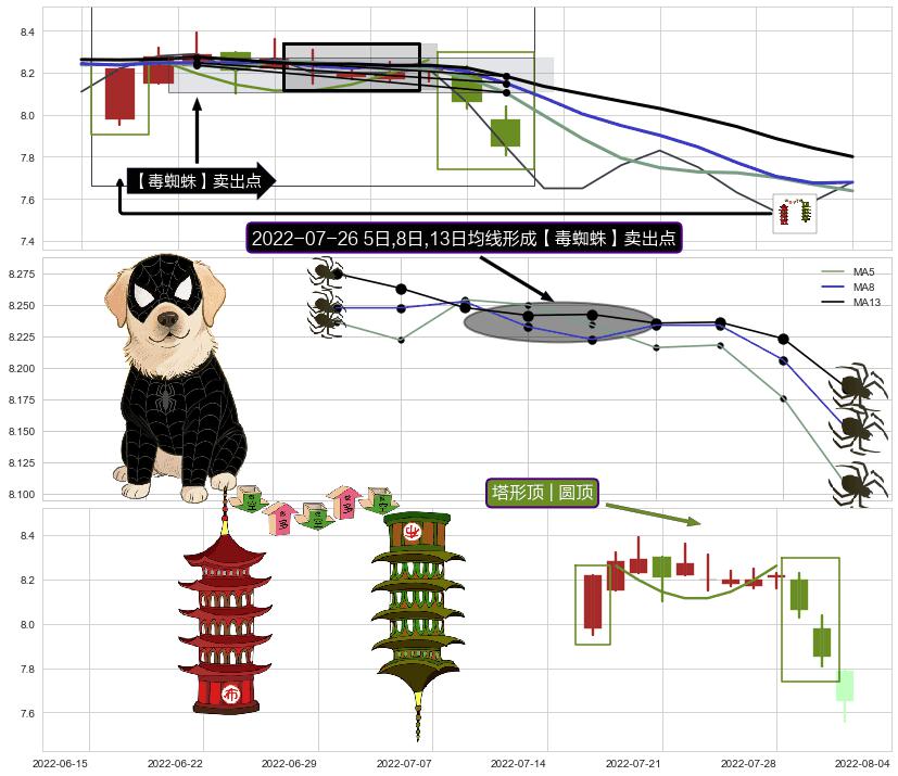 塔形顶 | 圆顶 ➕ 【毒蜘蛛】卖出点