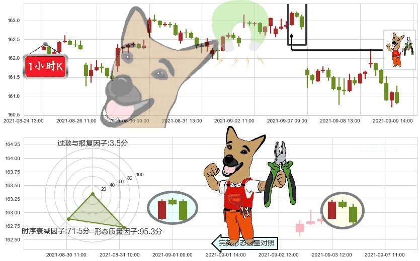高红利股ETF-Vanguard(usVIG)下跌镊子线(n形磁铁)K线图-阿布量化