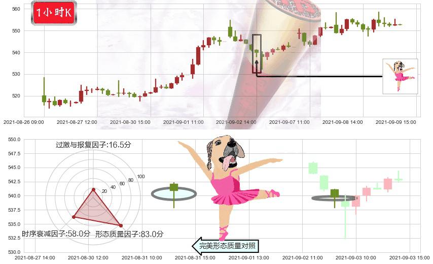 德康医疗(usDXCM)单针探底(定海神针)K线图-阿布量化