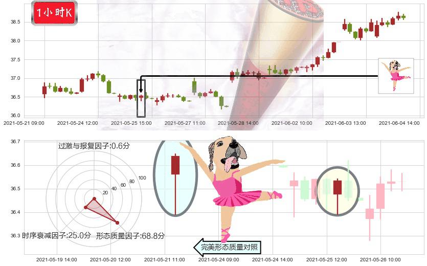 克罗格(usKR)单针探底（定海神针）K线图-阿布量化