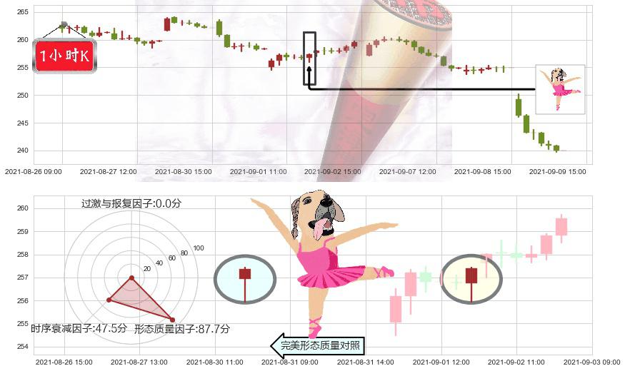 礼来(usLLY)单针探底(定海神针)K线图-阿布量化