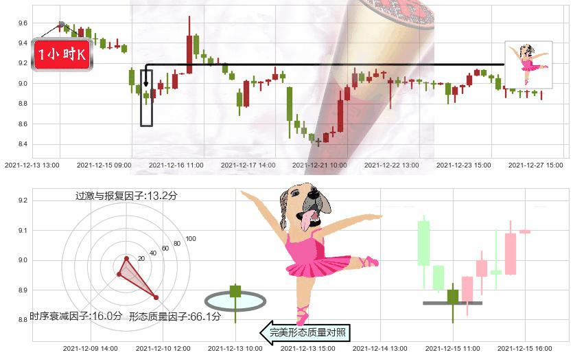 陌陌(usMOMO)单针探底(定海神针)K线图-阿布量化