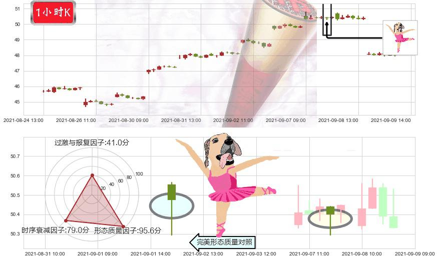 中石化(usSNP)单针探底(定海神针)K线图-阿布量化