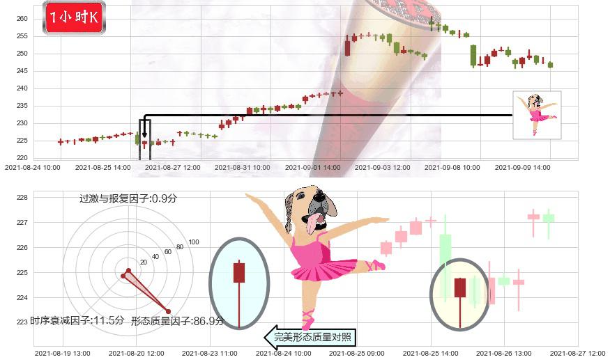 Spotify Technology S.A.(usSPOT)单针探底（定海神针）K线图-阿布量化