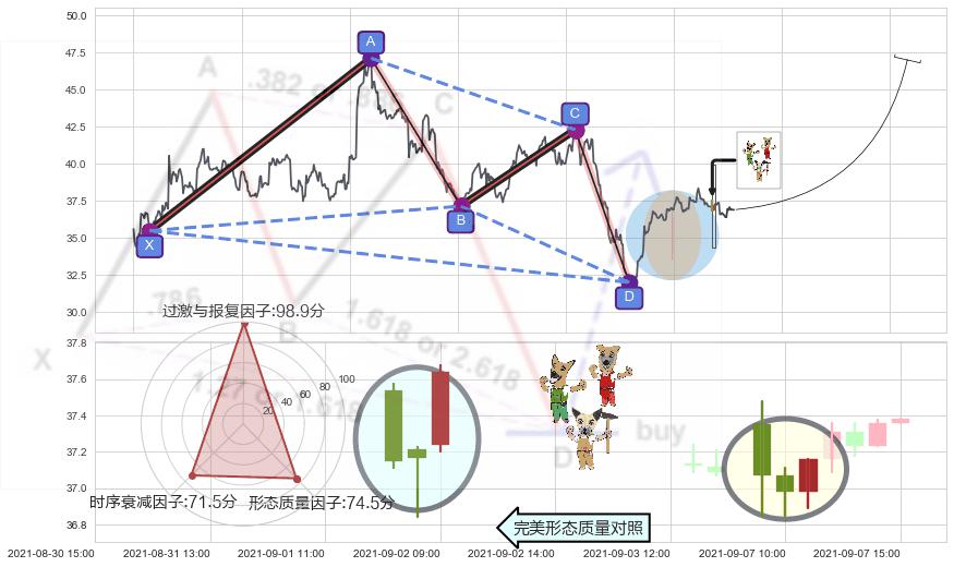 上涨Pinbar组合信号+底部尽头线（上山虎）+双针探底+单针探底（定海神针）+上涨螺旋桨形态+上涨孕十字星 ➕ 谐波(XABCD)