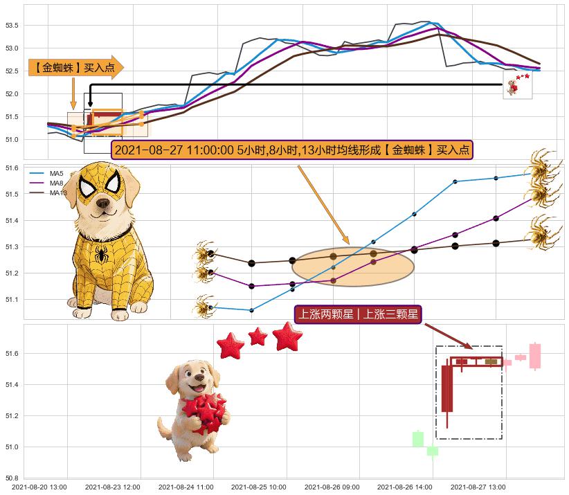 上涨两颗星 | 上涨三颗星 ➕ 【金蜘蛛】买入点