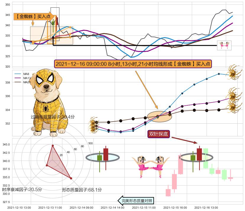 双针探底 ➕ 【金蜘蛛】买入点