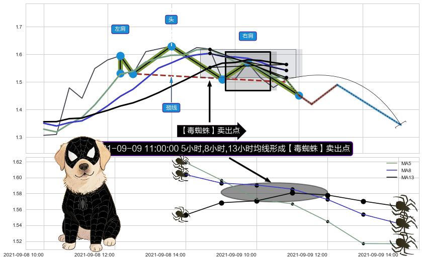 【毒蜘蛛】卖出点+【战机起航】卖出点 ➕ 突破整理