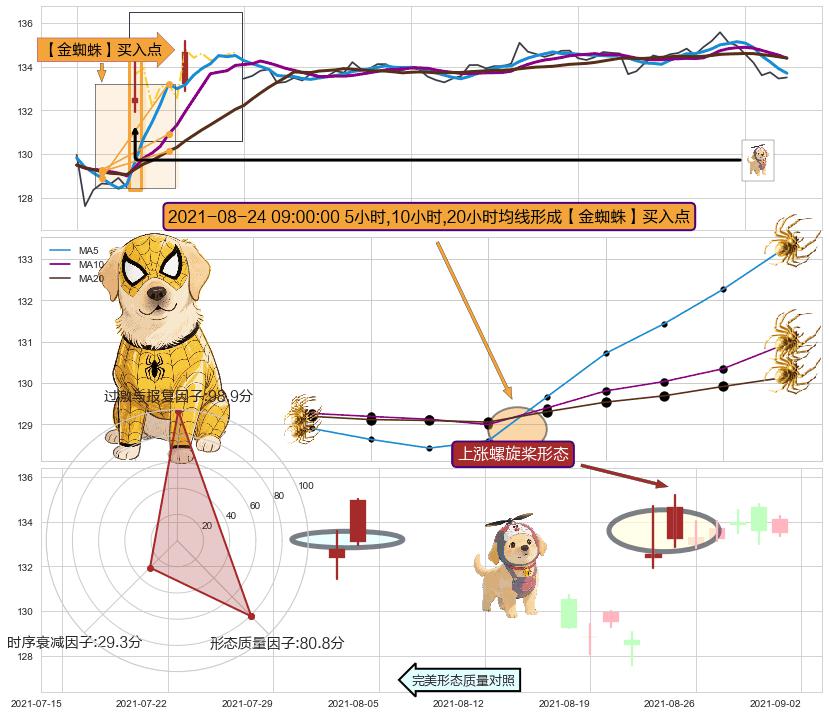 上涨螺旋桨形态 ➕ 【金蜘蛛】买入点