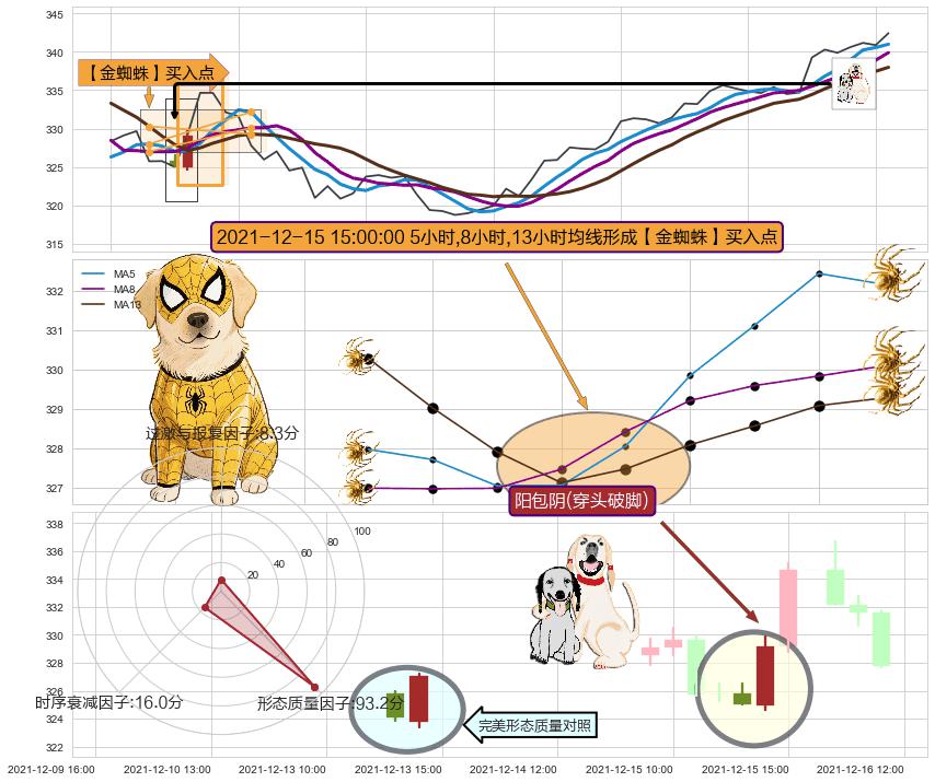 阳包阴(穿头破脚) ➕ 【金蜘蛛】买入点
