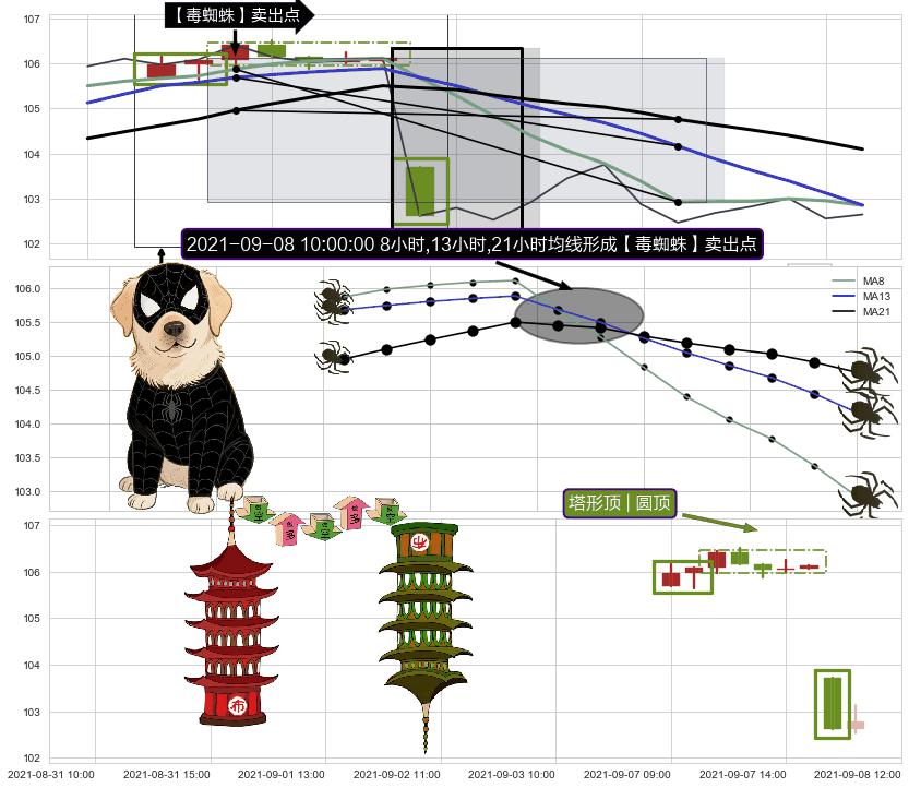 塔形顶 | 圆顶 ➕ 【毒蜘蛛】卖出点