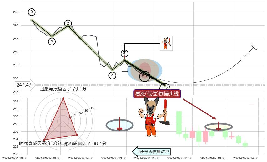 看涨(低位)倒锤头线 ➕ 5浪主体