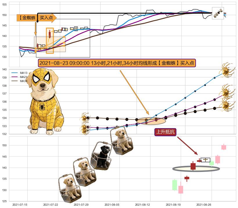 上升抵抗+上涨两颗星 | 上涨三颗星 ➕ 【金蜘蛛】买入点