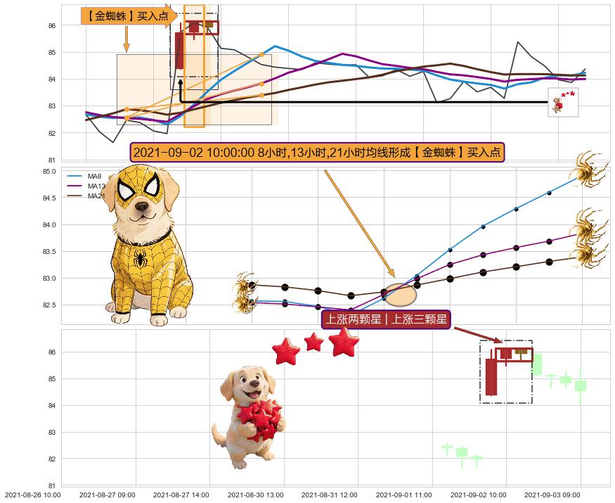 上涨两颗星 | 上涨三颗星 ➕ 【金蜘蛛】买入点