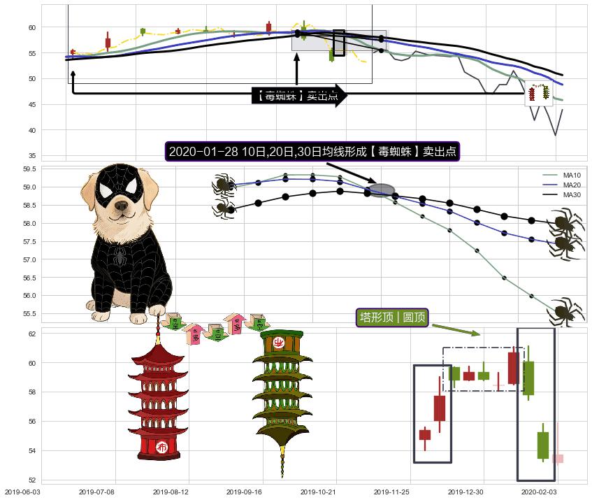 塔形顶 | 圆顶 ➕ 【毒蜘蛛】卖出点